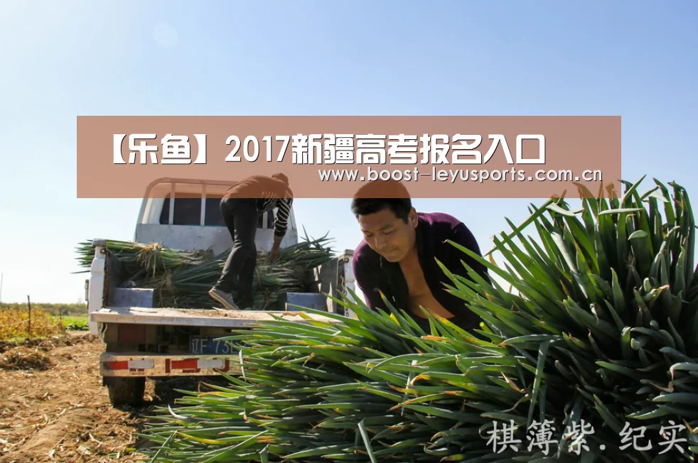 【乐鱼】2017新疆高考报名入口