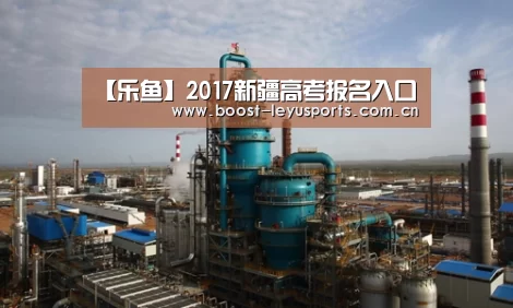【乐鱼】2017新疆高考报名入口(图2)