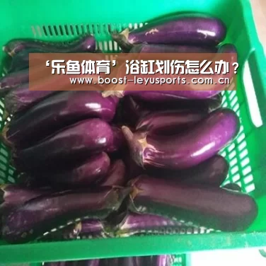 ‘乐鱼体育’浴缸划伤怎么办？(图3)