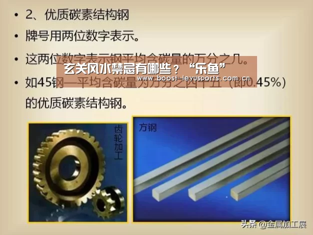 玄关风水禁忌有哪些?“乐鱼”(图4) 乐鱼体育