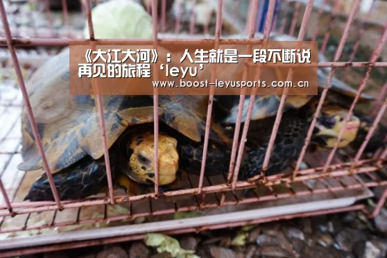 《大江大河》：人生就是一段不断说再见的旅程‘leyu’