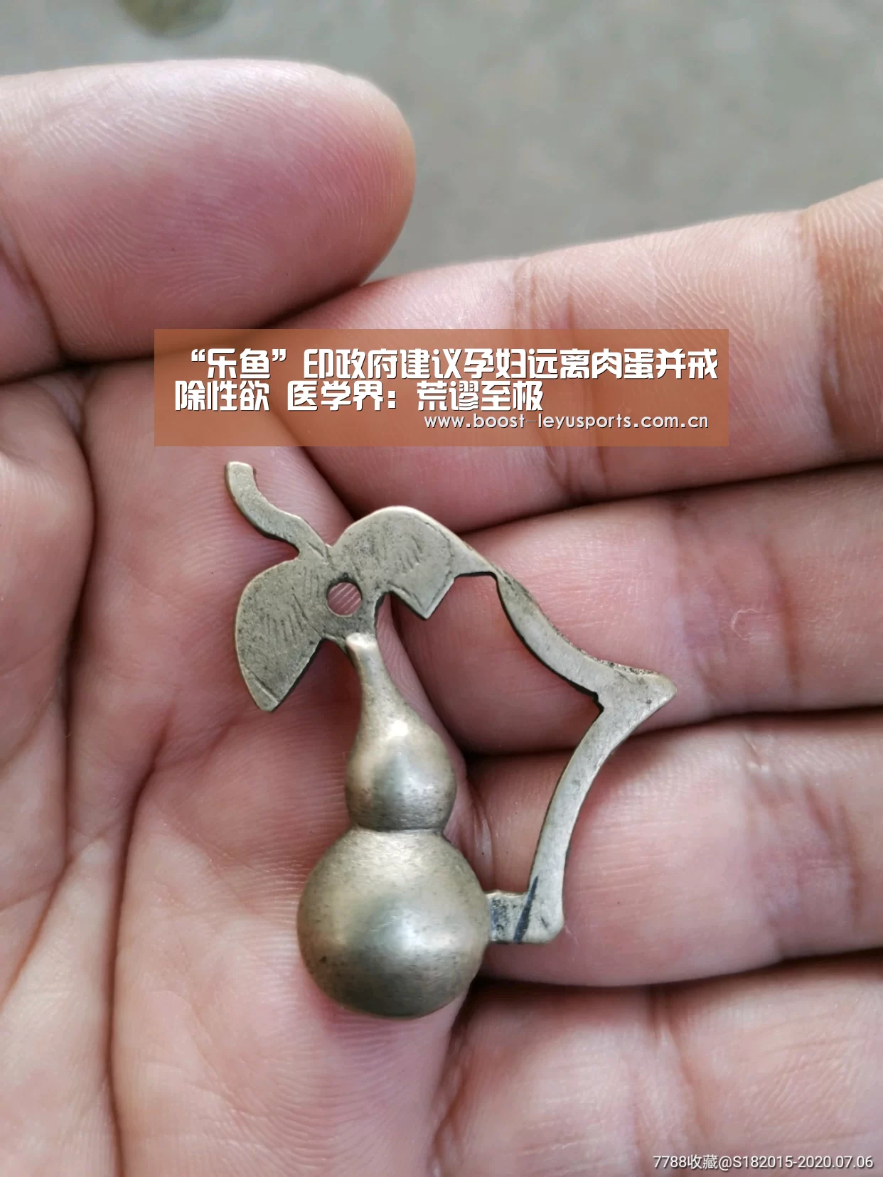 “乐鱼”印政府建议孕妇远离肉蛋并戒除性欲 医学界：荒谬至极