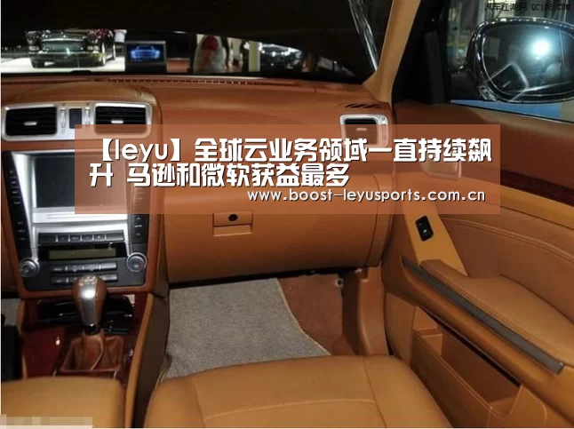 乐鱼电竞leyu