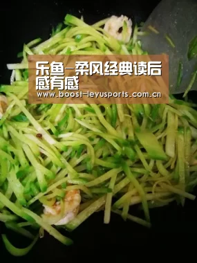 乐鱼-柔风经典读后感有感