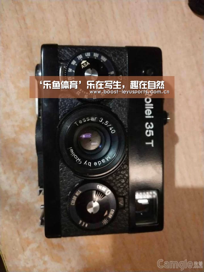 ‘乐鱼体育’乐在写生，趣在自然